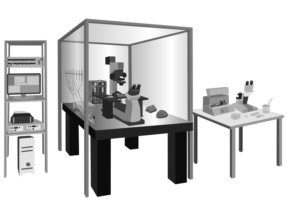 Patch Clamp Setup