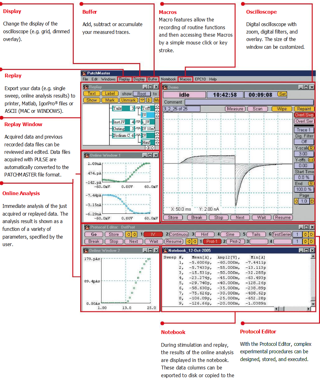 Chinchow Battle Analyzer - A comprehensive replay analyzer and reverse stat  calculator