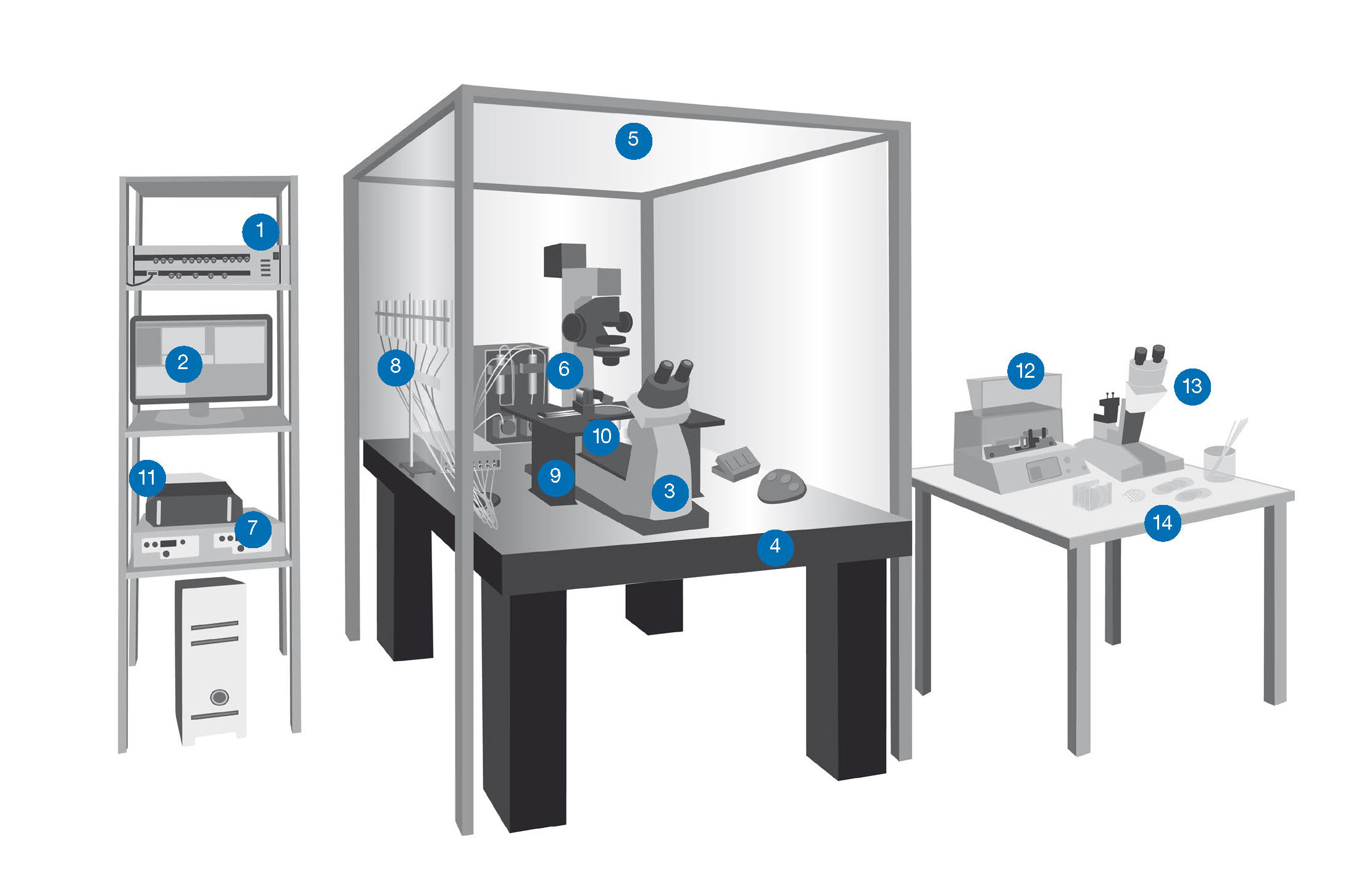 Patch Clamp Setup