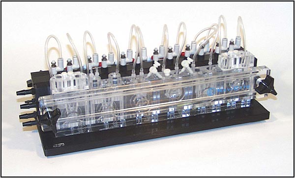 NaviCyte Vertical Ussing System